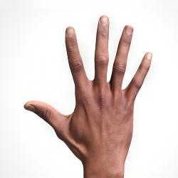Rahil Waters Retopo Hand Scan